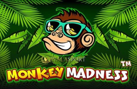 Demo Monkey Madness – Slot Pragmatic Play